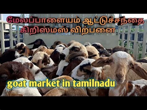 goat market in tamil nadu